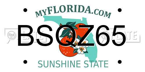 BSQZ65 Florida License Plate