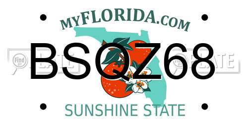 BSQZ68 Florida License Plate