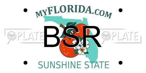 BSR Florida License Plate