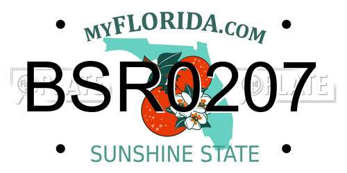 BSR0207 Florida License Plate