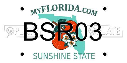 BSR03 Florida License Plate