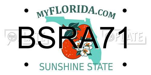 BSRA71 Florida License Plate