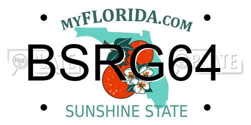BSRG64 Florida License Plate