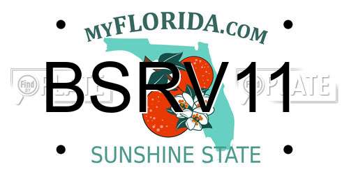 BSRV11 Florida License Plate