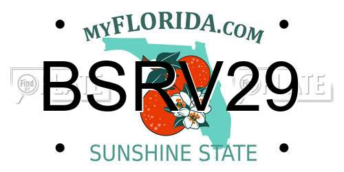 BSRV29 Florida License Plate