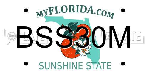 BSS30M Florida License Plate