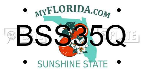 BSS35Q Florida License Plate