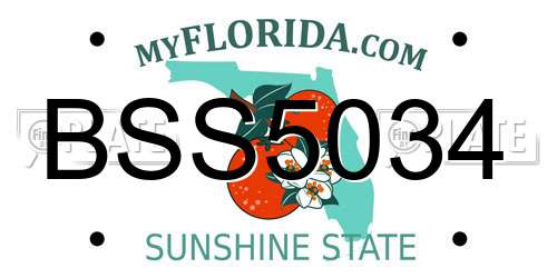 BSS5034 Florida License Plate