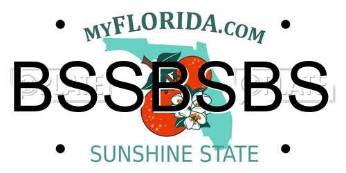 BSSBSBS Florida License Plate