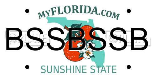 BSSBSSB Florida License Plate