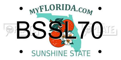 BSSL70 Florida License Plate