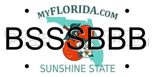 BSSSBBB Florida License Plate