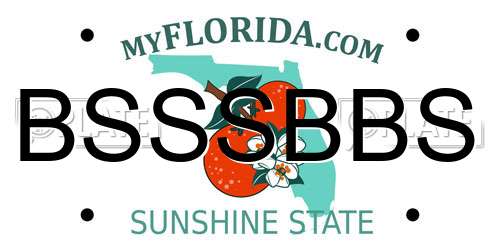 BSSSBBS Florida License Plate
