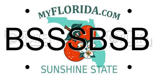 BSSSBSB Florida License Plate