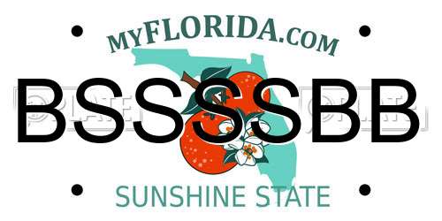 BSSSSBB Florida License Plate