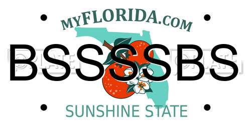BSSSSBS Florida License Plate