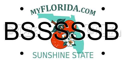 BSSSSSB Florida License Plate