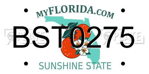 BST0275 Florida License Plate
