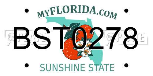 BST0278 Florida License Plate