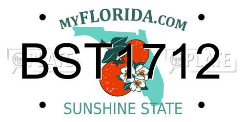BST1712 Florida License Plate