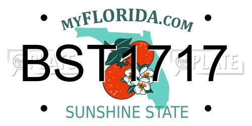 BST1717 Florida License Plate