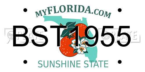 BST1955 Florida License Plate