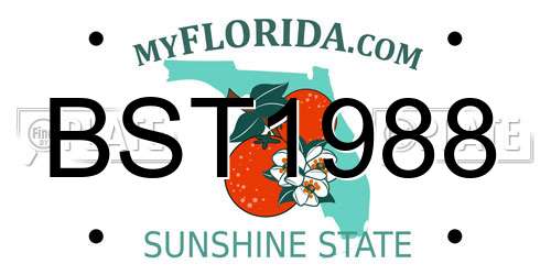 BST1988 Florida License Plate