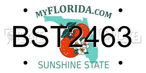 BST2463 Florida License Plate