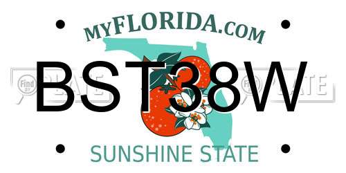 BST38W Florida License Plate