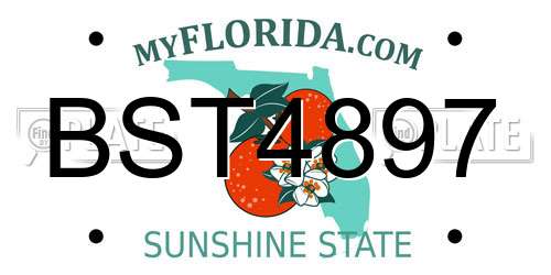 BST4897 Florida License Plate