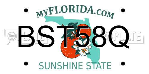 BST58Q Florida License Plate