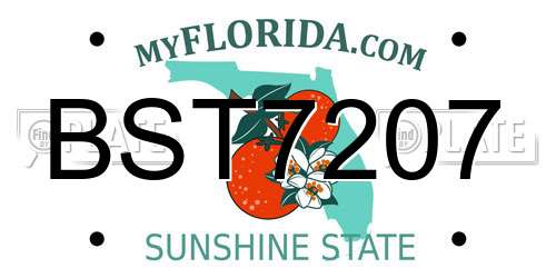 BST7207 Florida License Plate