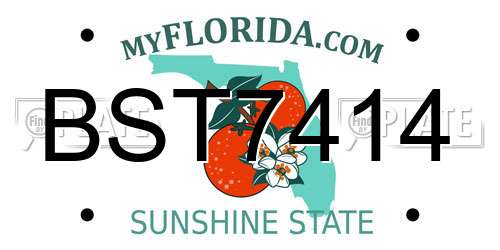 BST7414 Florida License Plate