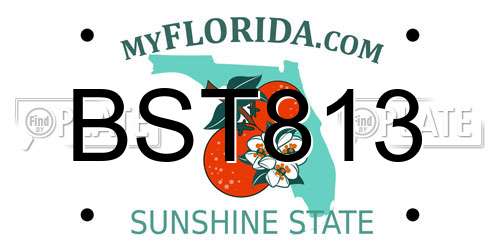BST813 Florida License Plate