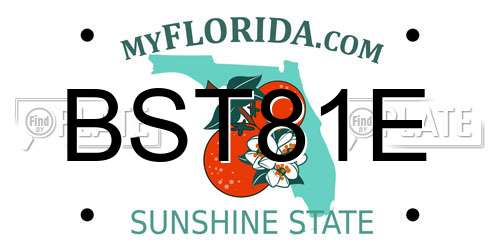 BST81E Florida License Plate