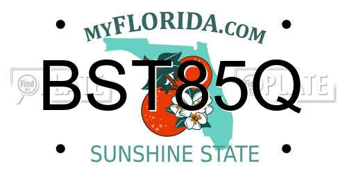 BST85Q Florida License Plate
