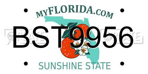 BST9956 Florida License Plate