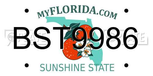 BST9986 Florida License Plate