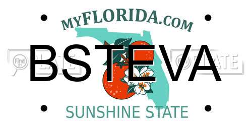 BSTEVA Florida License Plate