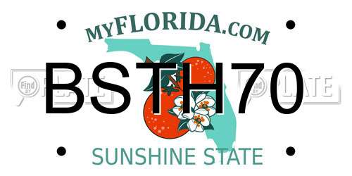 BSTH70 Florida License Plate