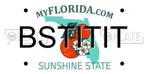 BSTITIT Florida License Plate