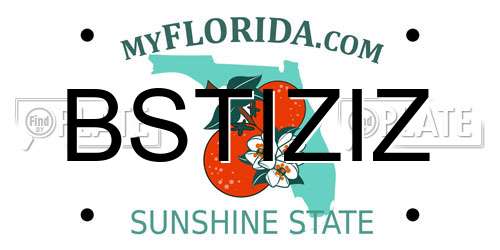BSTIZIZ Florida License Plate