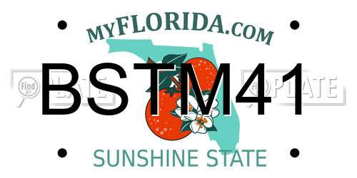 BSTM41 Florida License Plate