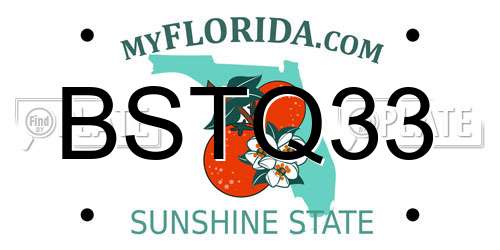 BSTQ33 Florida License Plate
