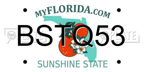 BSTQ53 Florida License Plate