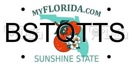 BSTQTTS Florida License Plate