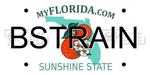 BSTRAIN Florida License Plate