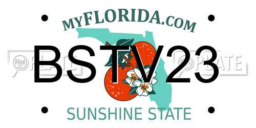 BSTV23 Florida License Plate