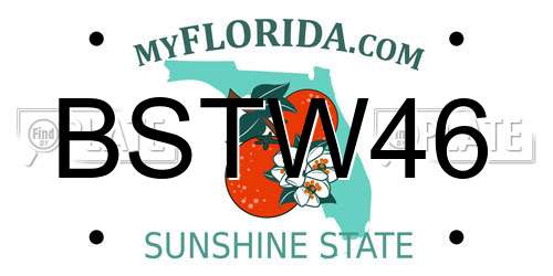 BSTW46 Florida License Plate