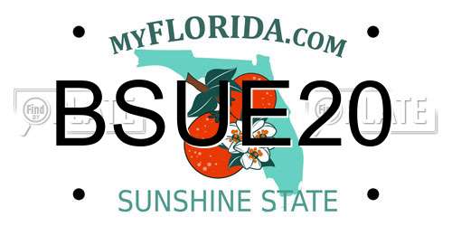 BSUE20 Florida License Plate
